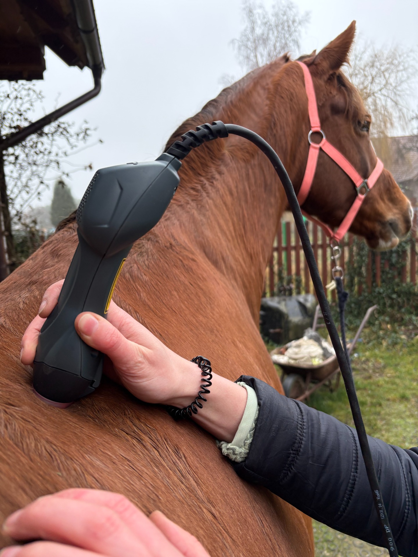 Odstranění bolestivého triggerpointu v zádovém svalstvu
